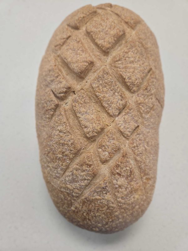 Sourdough Workshop - Jun 11